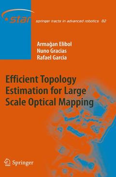 Couverture de l’ouvrage Efficient Topology Estimation for Large Scale Optical Mapping
