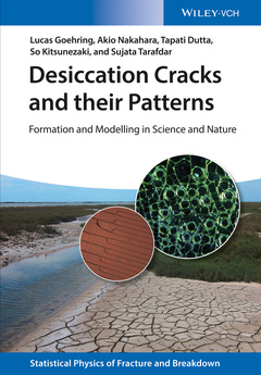 Couverture de l’ouvrage Desiccation Cracks and their Patterns