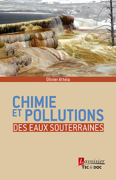 Couverture de l’ouvrage Chimie et pollutions des eaux souterraines