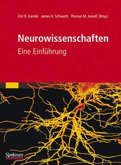 Couverture de l’ouvrage Neurowissenschaften