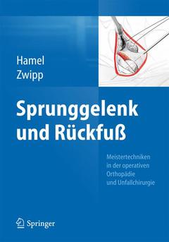 Couverture de l’ouvrage Sprunggelenk und Rückfuß