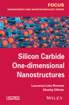 Couverture de l’ouvrage Silicon Carbide One-dimensional Nanostructures