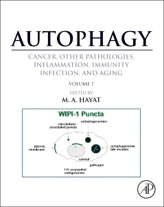 Cover of the book Autophagy: Cancer, Other Pathologies, Inflammation, Immunity, Infection, and Aging