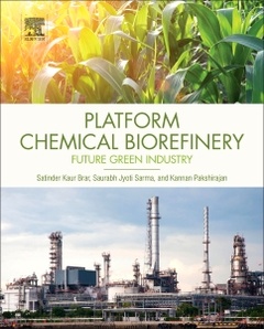 Couverture de l’ouvrage Platform Chemical Biorefinery
