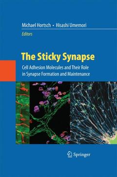 Couverture de l’ouvrage The Sticky Synapse