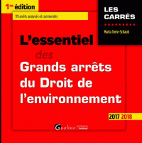 Cover of the book L'essentiel des grands arrêts en droit de l'environnement