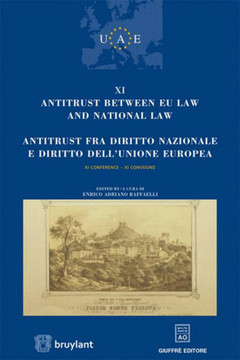 Couverture de l’ouvrage Antitrust between EU law and National law - Tome 11