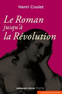 Couverture de l’ouvrage Le Roman jusqu'à la Révolution