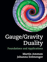 Couverture de l’ouvrage Gauge/Gravity Duality