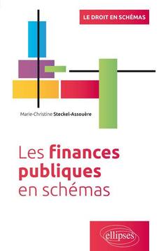 Couverture de l’ouvrage Les finances publiques en schémas