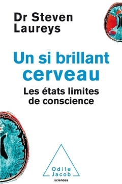 Cover of the book UN SI BRILLANT CERVEAU