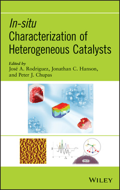 Couverture de l’ouvrage In-situ Characterization of Heterogeneous Catalysts