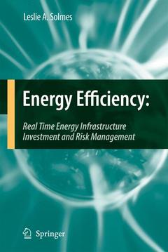 Couverture de l’ouvrage Energy Efficiency