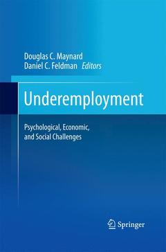 Couverture de l’ouvrage Underemployment