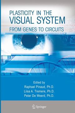Couverture de l’ouvrage Plasticity in the Visual System