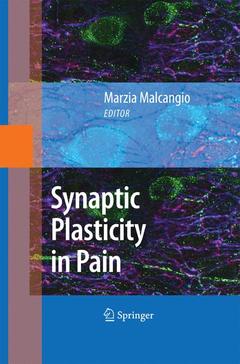 Couverture de l’ouvrage Synaptic Plasticity in Pain