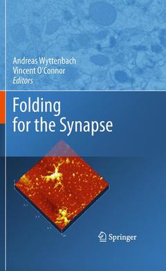 Couverture de l’ouvrage Folding for the Synapse