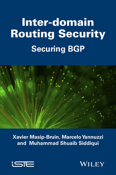 Couverture de l’ouvrage Inter Domain Routing Security