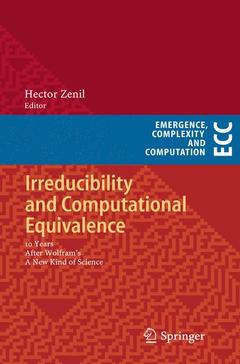 Couverture de l’ouvrage Irreducibility and Computational Equivalence