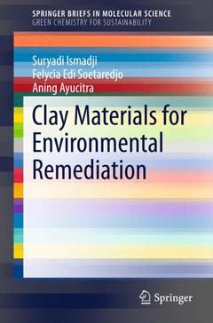 Couverture de l’ouvrage Clay Materials for Environmental Remediation