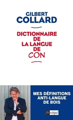 Cover of the book Dictionnaire de la langue de con