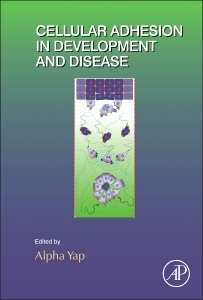 Cover of the book Cellular Adhesion in Development and Disease