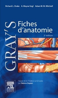 Couverture de l’ouvrage Gray's Fiches d'anatomie