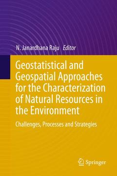 Cover of the book Geostatistical and Geospatial Approaches for the Characterization of Natural Resources in the Environment