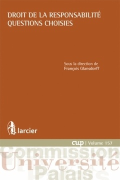 Cover of the book Droit de la responsabilité - Questions choisies