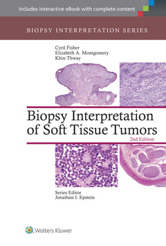Cover of the book Biopsy Interpretation of Soft Tissue Tumors
