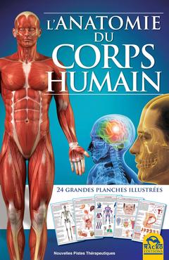 Couverture de l’ouvrage L'anatomie du corps humain