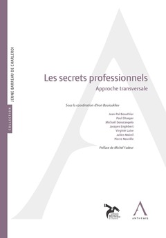 Cover of the book les secrets professionnels. approche transversale
