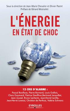 Cover of the book L'énergie en état de choc