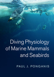 Cover of the book Diving Physiology of Marine Mammals and Seabirds