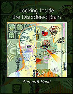 Cover of the book Looking Inside the Disordered Brain