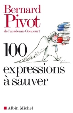 Cover of the book 100 Expressions à sauver
