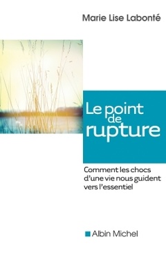 Cover of the book Le point de rupture
