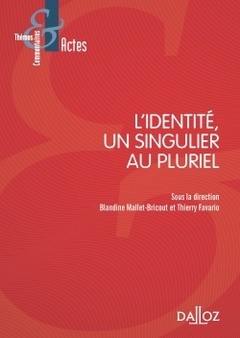 Cover of the book L'identité, un singulier au pluriel