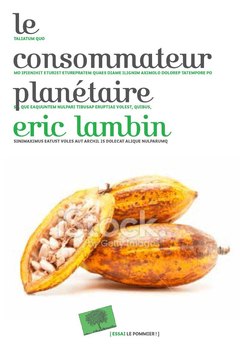 Cover of the book Le consommateur planétaire