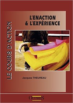 Couverture de l’ouvrage Le cours d'action : l'enaction & l'expérience