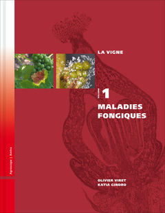 Cover of the book Maladies fongiques