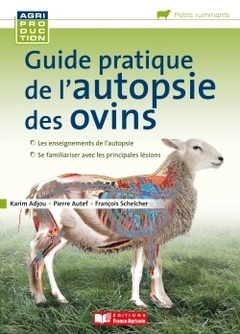 Couverture de l’ouvrage Guide pratique de l'autopsie des ovins