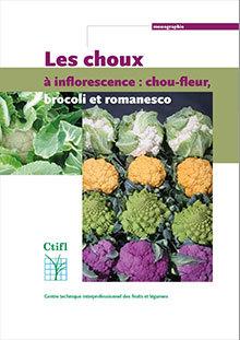 Couverture de l’ouvrage Les choux à inflorescence : chou-fleur, brocoli et  romanesco 