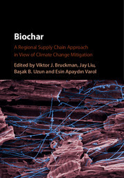 Cover of the book Biochar