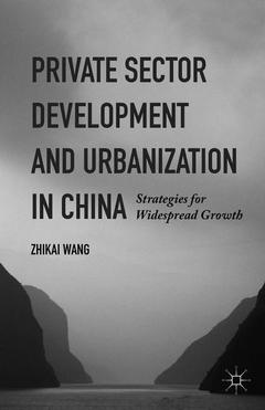 Couverture de l’ouvrage Private Sector Development and Urbanization in China