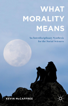 Cover of the book What Morality Means