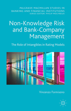 Couverture de l’ouvrage Non-Knowledge Risk and Bank-Company Management