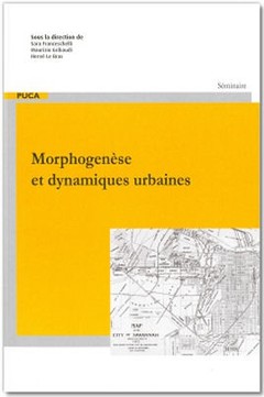 Couverture de l’ouvrage Morphogenèse et dynamiques urbaines