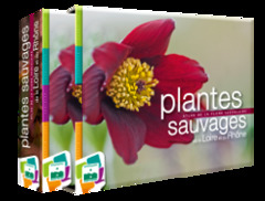 Cover of the book Plantes sauvages de la Loire et du Rhône