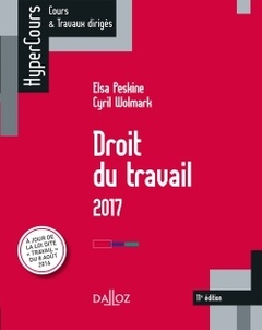 Cover of the book Droit du travail 2017